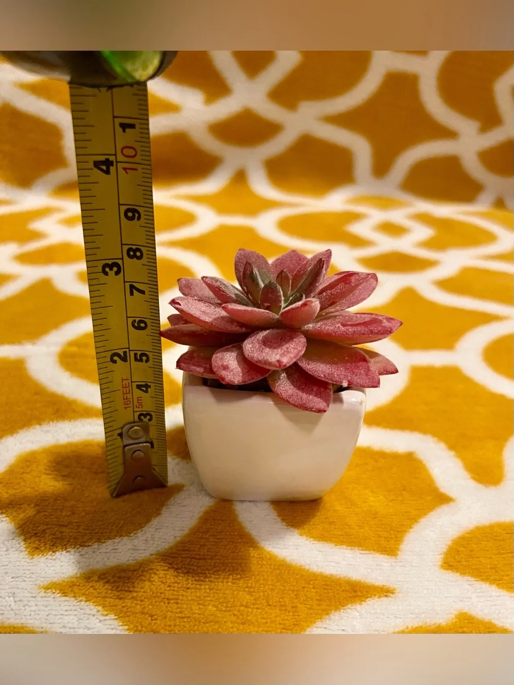 Set of 2 Artificial Succulent Plants in Ceramic Pots, Round Gray & White Square